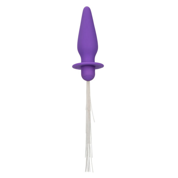 CALEXOTICS - SOUTHERN LIGHTS LIGHT UP ANAL PLUG 10 VIBRAÇÕES SILICONE ROXO - Image 2